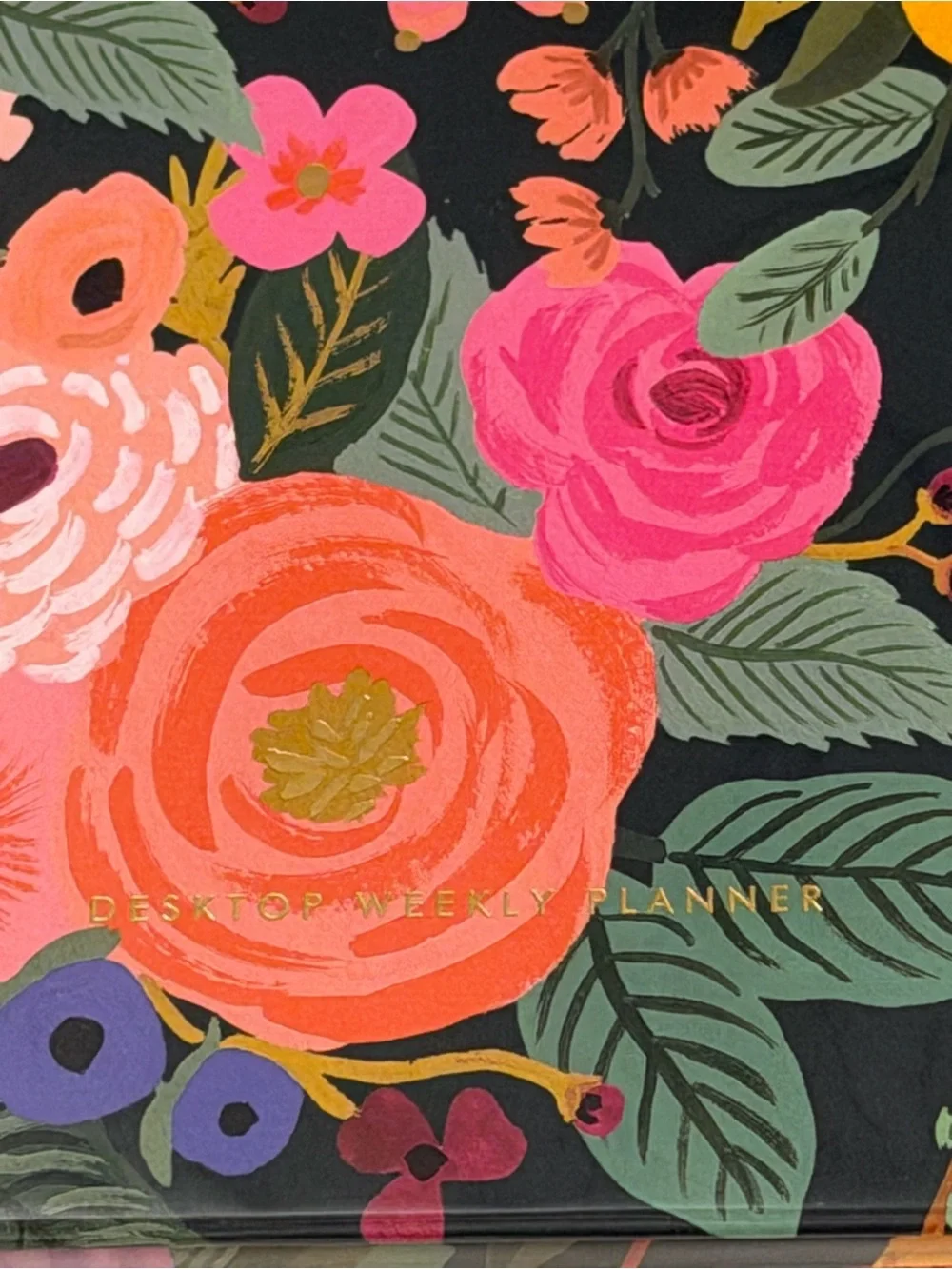 Rifle Paper Co. design vibrant